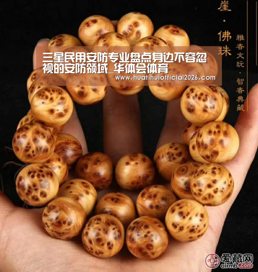 三星民用安防专业盘点身边不容忽视的安防领域_华体会体育(图3) 华体会体育